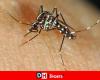 Report of a tiger mosquito at Séroule Park in Verviers