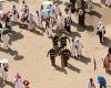 More than 900 dead during pilgrimage in Saudi Arabia – DW – 06/19/2024