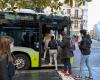 Agglo de Pau: the price of a bus ticket increases for the first time in eight years