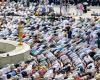 Hajj | Relatives search for missing worshipers, more than 900 dead