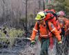 The forest fire between Murdochville and Gaspé is now under control