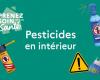 Indoor pesticides: what precautions should you take in your home?