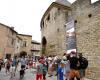 Overcrowding in Carcassonne, “a stubborn preconceived idea”