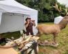 Come and attend the stag bellowing imitation championship this weekend in the Ardennes