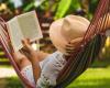 What to read this summer? | Radio-Canada