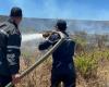 Tangier: violent fire in El Aouama, 6 hectares of forest cover ravaged