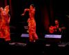 Colomiers. “Flamenca meeting” with the Columérin artistic collective E2A