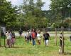Périgueux: The schools arboretum is growing, at the Parc de la Source
