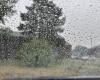 Rain comes as reinforcement to fight forest fires
