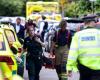 Little girls killed by a 4×4 in London: driver not worried
