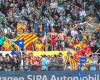 Top 14: no sanction for USAP after incidents in the stands during the match in Pau