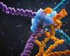a new gene editing technique more efficient and precise than CRISPR