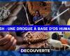 DISCOVERY (N°6) – Kush: A Drug Based on Human Bones from Sierra Leone, Extends its Influence to Senegal
