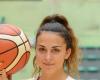 NF1: Limoges reveals almost its entire squad, Colomiers and Martigues continue to strengthen – Postup.fr