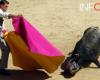 anti-bullfighting demonstration this Saturday near Béziers led by COLBAC