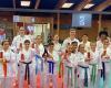 Montauban. Karate: AMM 82 garners performances