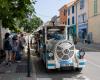 HYERES: This summer, adopt the little train of the peninsula!