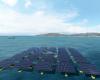 The first offshore solar park in the Mediterranean: Méga Sète