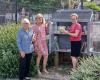 Rustic: the book “chicken coop” open to the public