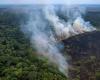 Amazon rainforest hit by wildfires sees worst first half of year in 20 years