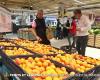 Fruits and vegetables: why prices are falling – 8 p.m. news