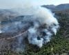Forest fires | As Greek islands burn, Athens warns summer will be ‘dangerous’