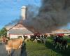 Cows die in fire in Saint-Cyrille (photos and video)