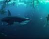 Netflix shark movie will not be removed from the platform, court rules – Libération