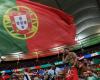 Portuguese supporter violently attacked by stewards, investigation opened
