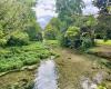 Beaune – Hydroecological restoration of the Bouzaize