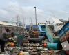 Hurricane Beryl, an extraordinary phenomenon that sows devastation in the Caribbean