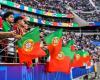 Portugal fan beaten by stewards