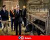 Visit of King Philippe to a farm in La Bruyère: “I want to be informed of what you experience day to day” (video)