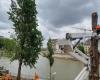Paris: why were three poplars cut down near the opening ceremony stands?
