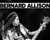 Bernard Allison concert in Alençon 2024