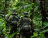 19 dead in violent drug conflict in Chiapas
