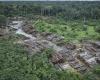 Two
      loggers
      killed
      and
      two
      others
      missing
      after
      raid
      on
      Amazonian
      Indian
      territory