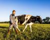 Brittany affirms its priorities for agriculture! · Brittany Region