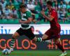 Champions League: Viktor Gyökeres (Sporting CP) is “very excited” ahead of the confrontation against LOSC