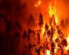 Fires in Portugal: 3,700 firefighters face deadly forest fires