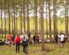 The Iriberri herd in transhumance arrives on September 18 in Gers