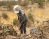 In the indifference of the public authorities, the tombs are swept away by erosion