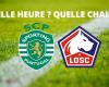 Sporting – Lille: at what time and on which channel to watch the Champions League match live?