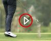 Rory smashes his 8 iron but hits a crazy shot!