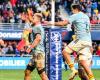 Top 14 – Perpignan formalizes the extension of Jacobus Van Tonder