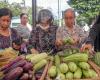 Cambodia’s inflation forecast down