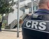 Four men arrested in Carrara, cocaine and cannabis seized