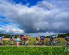 Junior Men’s Road Race. Entrants and favourites