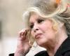 Brigitte Bardot’s request for her 90th birthday