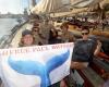 “We have to make it a strong day”: Paul Watson, leading figure of the 26th Voiles de Saint-Tropez